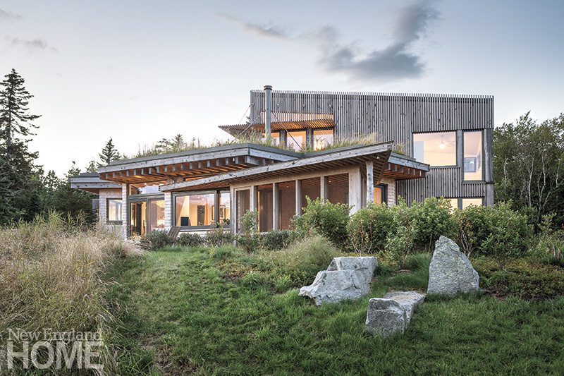 Contemporary Maine compound landscape