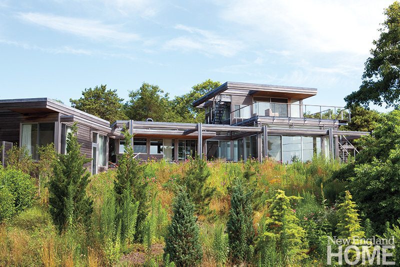 Maryann Thompson surroundings