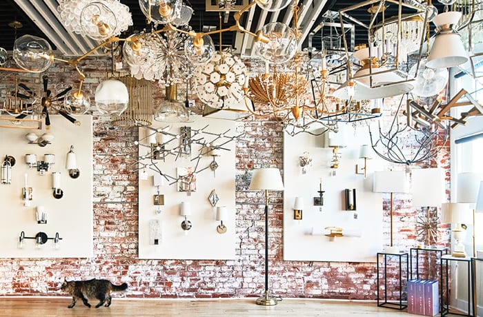 chloe winston lighting design cat in showroom